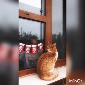 23 Nisan Ulusal Egemenlik ve Çocuk Bayramı Coşku İle Kutlandı - fotoğraf 17