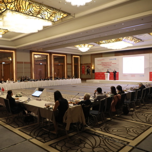 Deputy Minister Rıdvan Duran Chaired the Family-Based National Early Intervention Program Development Workshop for Children with Disabilities - fotoğraf 1