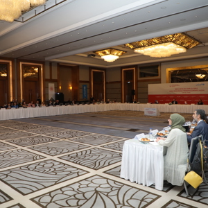 Deputy Minister Rıdvan Duran Chaired the Family-Based National Early Intervention Program Development Workshop for Children with Disabilities - fotoğraf 2