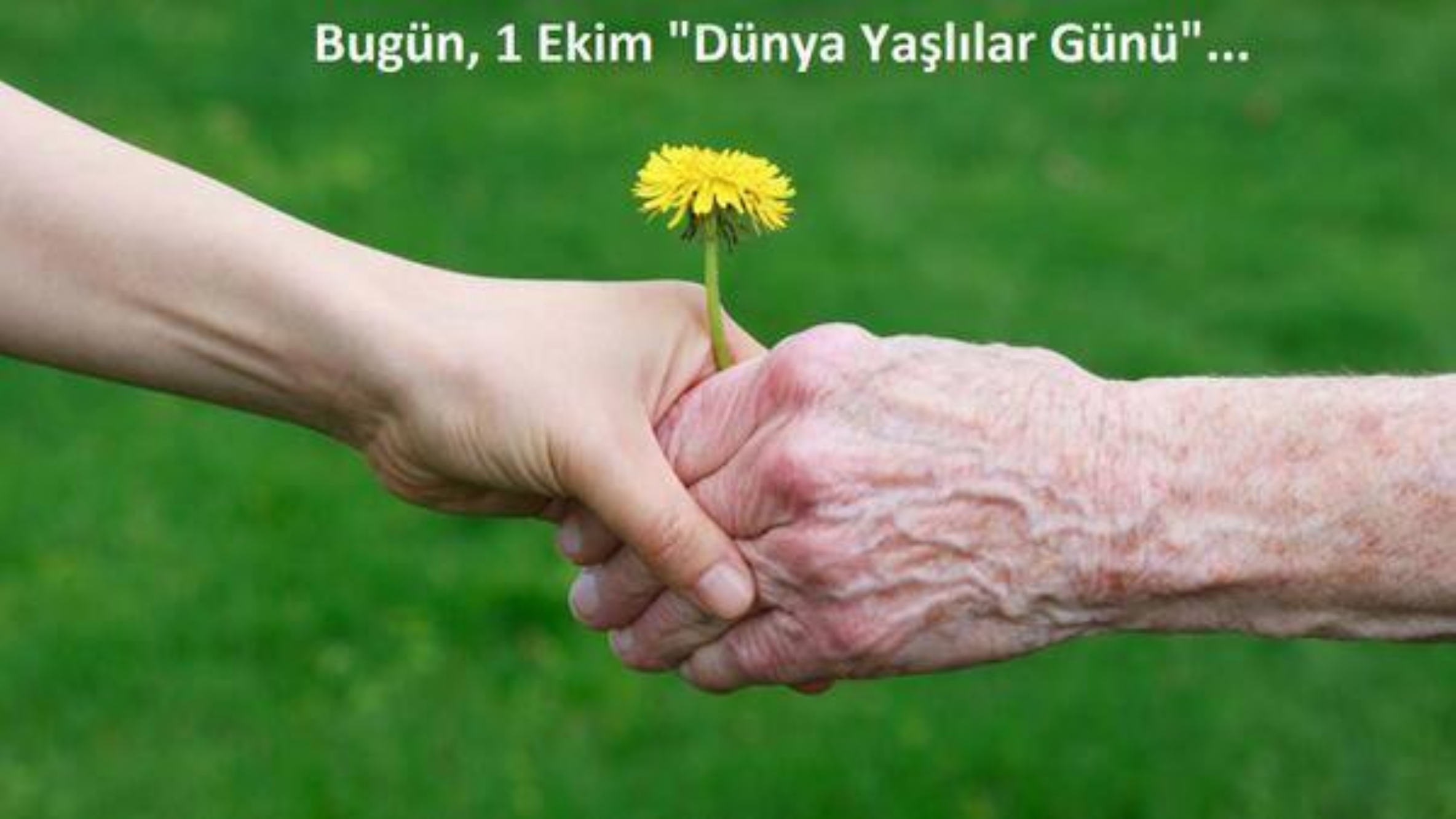 İl Müdürümüz Ersin FIRAT’ın ‘’1 Ekim Dünya Yaşlılar Günü’’ Mesajı 