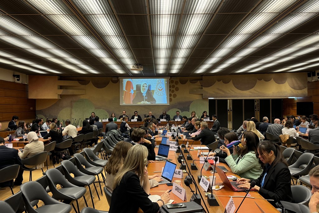 BM'de, Türkiye'nin öncülük ettiği Sıfır Atık Hareketi "insani hakları ve kadın" açısından ele alındı