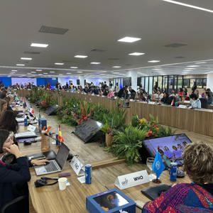 Aile ve Sosyal Hizmetler Bakanımız Göktaş'tan G20'de "İsrail" ve "kadına yönelik şiddet" tepkisi - fotoğraf 2