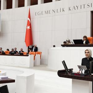Aile ve Sosyal Hizmetler Bakanlığının 2025 Yılı Bütçesi TBMM Genel Kurulu’nda Kabul Edildi - fotoğraf 1