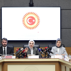 Bakanımız Göktaş, TBMM Kadına Karşı Şiddet ve Ayrımcılığın Önlenmesine Yönelik Meclis Araştırma Komisyonu'na sunum yaptı - fotoğraf 2