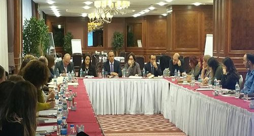 ANKA Programının Refakatsiz-Sığınmacı Çocuklar İçin Uyarlanma ve Revizyon Çalıştayı Ankara'da Başladı