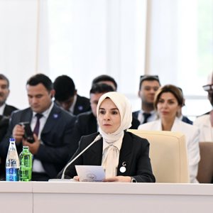 Bakanımız Göktaş, Azerbaycan'da EİT 17. Zirvesi'nde konuştu - fotoğraf 1