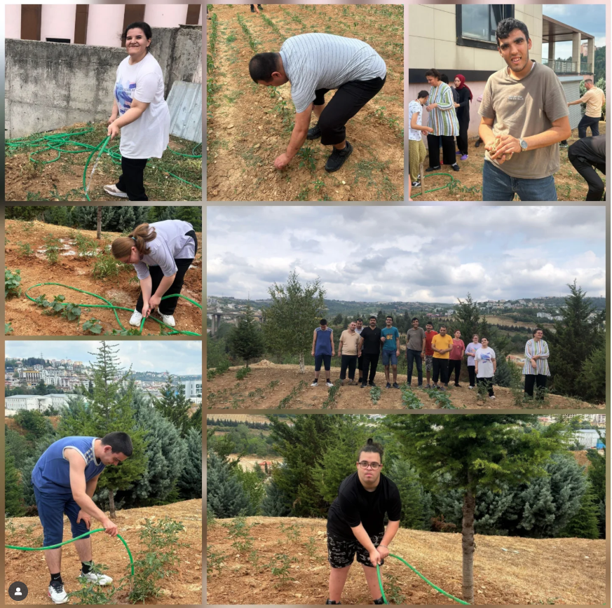 Kuruluşumuzun Arka Bahçesinde Sebzelerimizi Yetiştiriyoruz. 