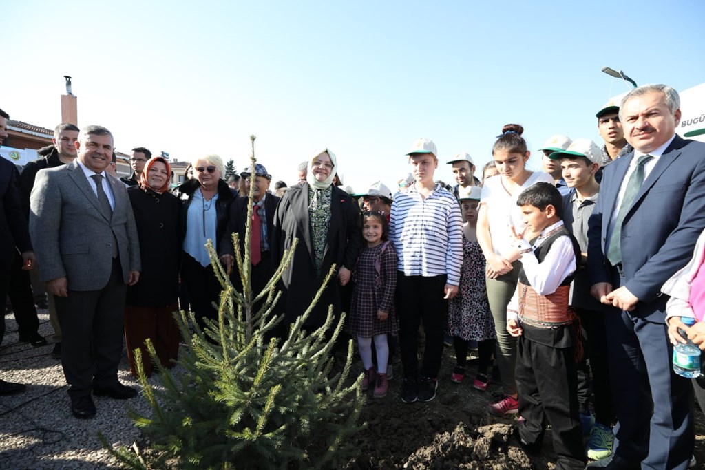 Bakan Selçuk, "Bugün Fidan, Yarın Nefes" Kampanyası Kapsamında Sinop'ta Fidan Dikimi Törenine Katıldı