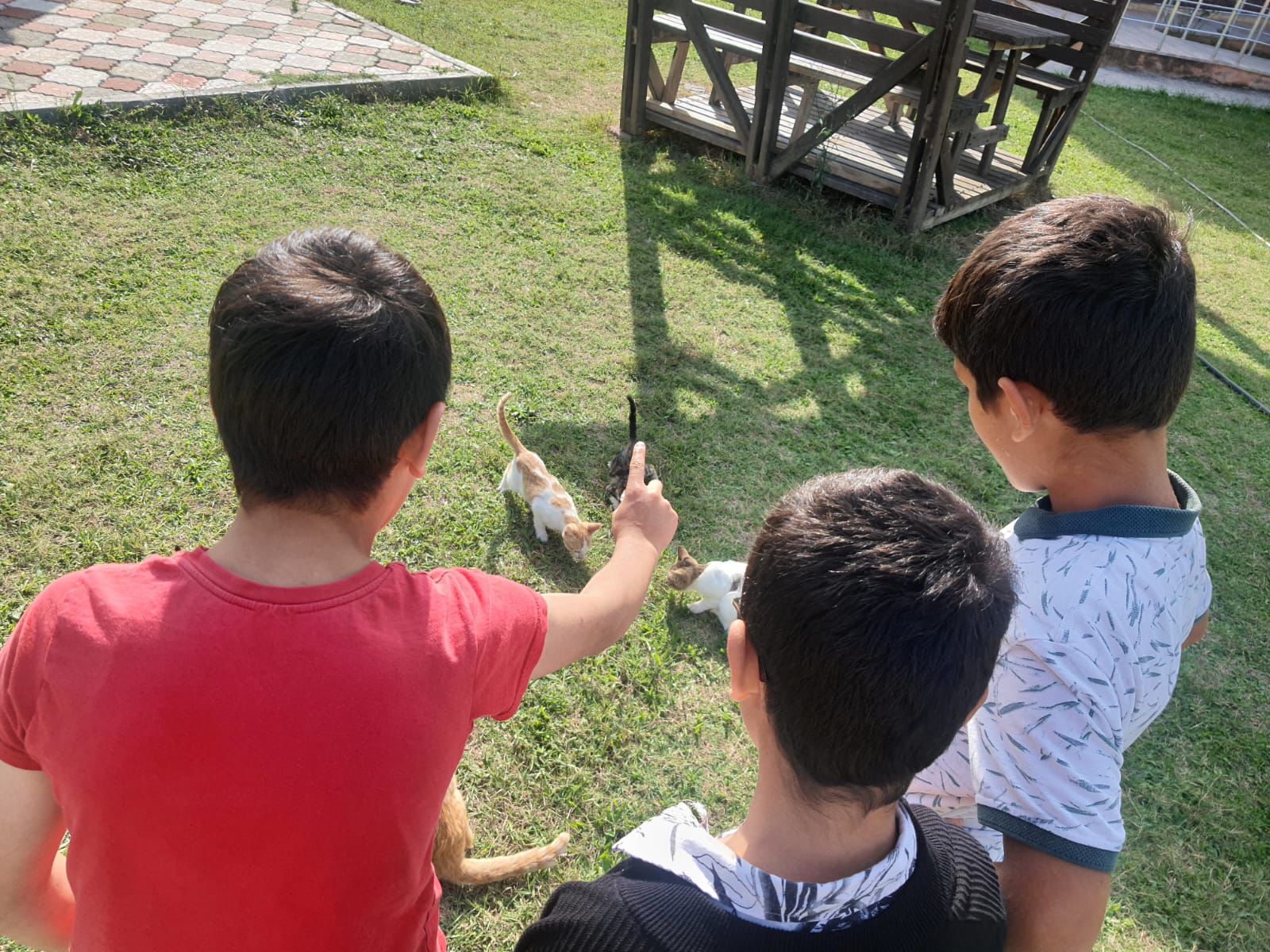 Minik Yüreklerden Patili Dostlara Sevgi Dolu Destek