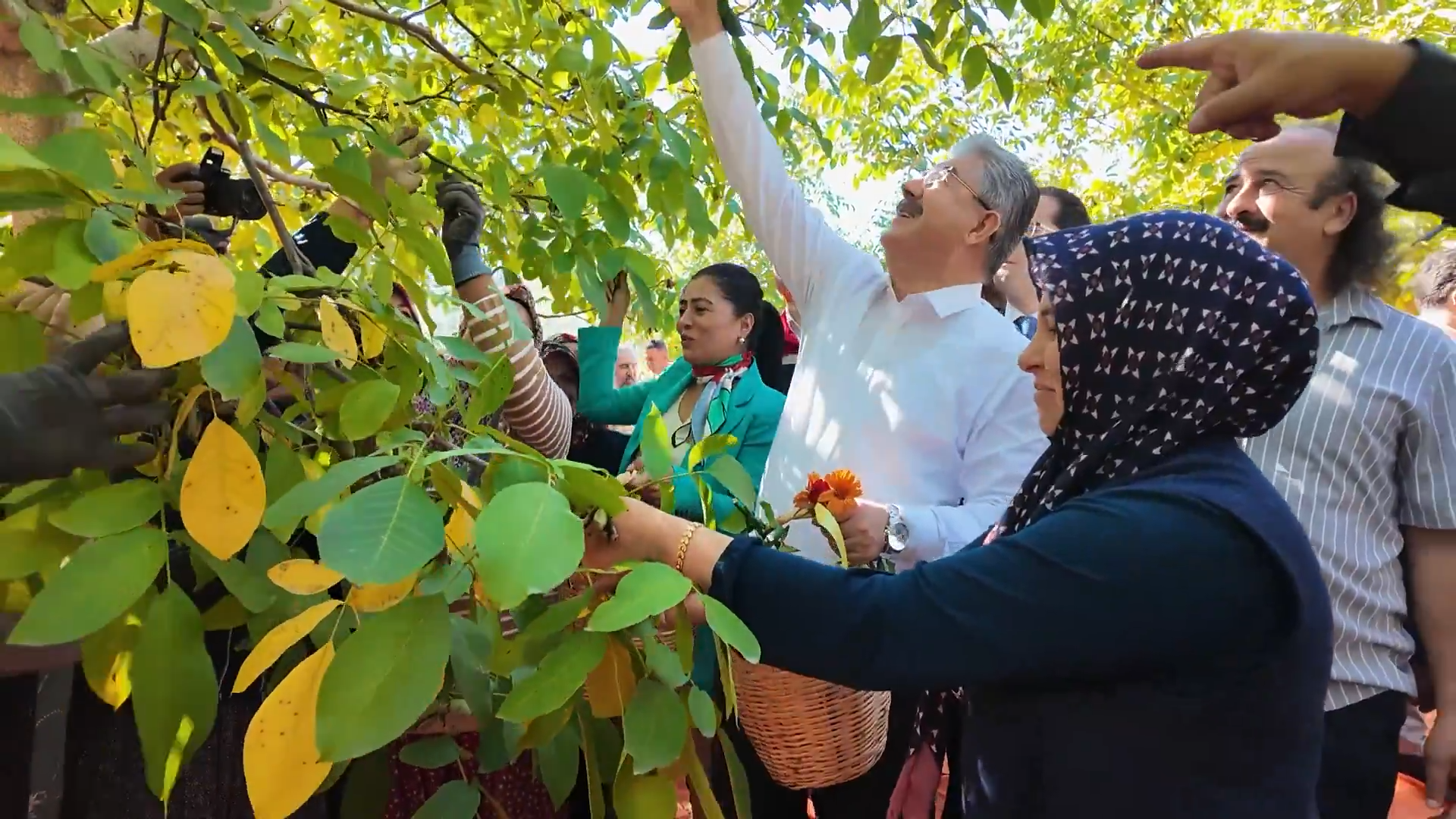 15 Ekim Dünya Kadın Çiftçiler Günü’nde Ceviz Hasadı Gerçekleşti