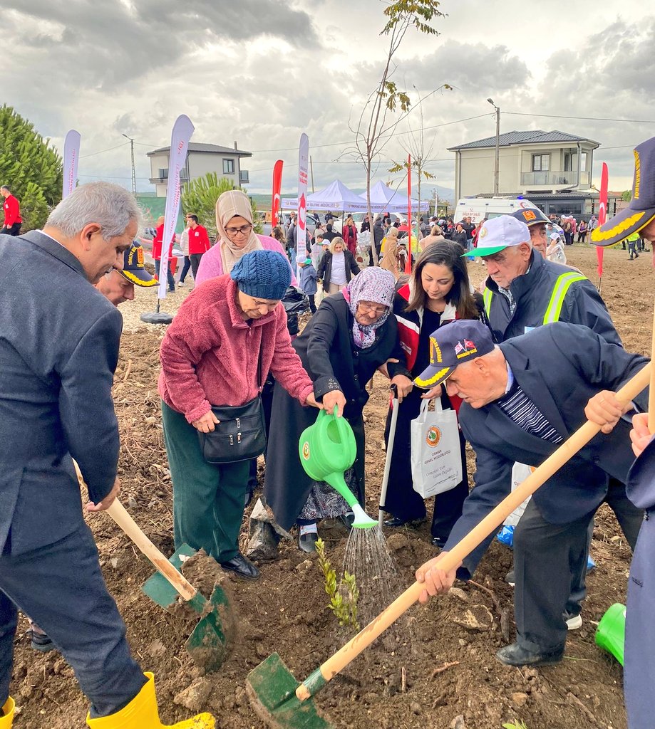 11 Kasım Milli Ağaçlandırma Günü