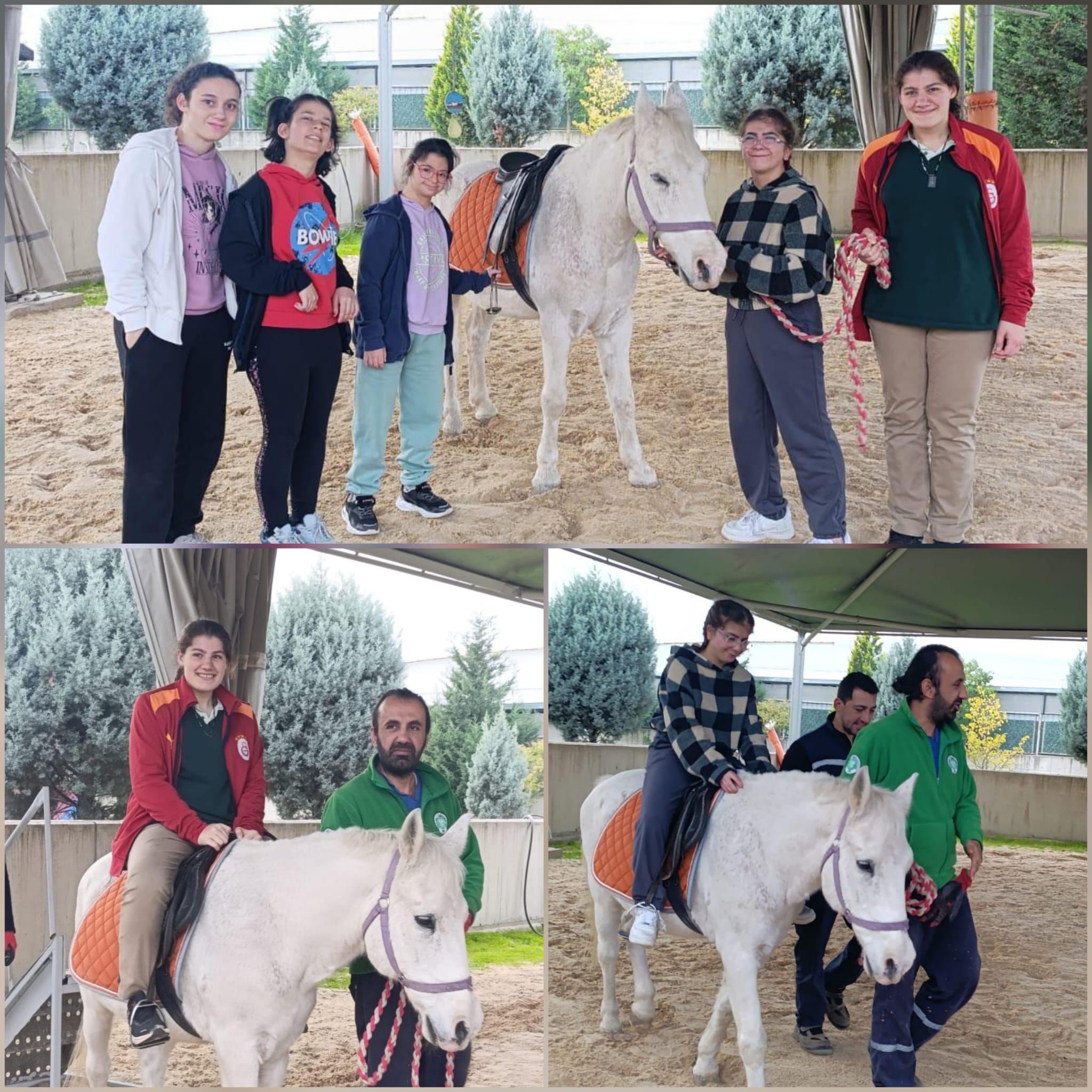 Özel Çocuklar İçin Hipoterapi Devam Ediyor: Köseköy Bakım Merkezi Sakinlerinin Algı ve Fiziksel Fonksiyonları Güçleniyor!