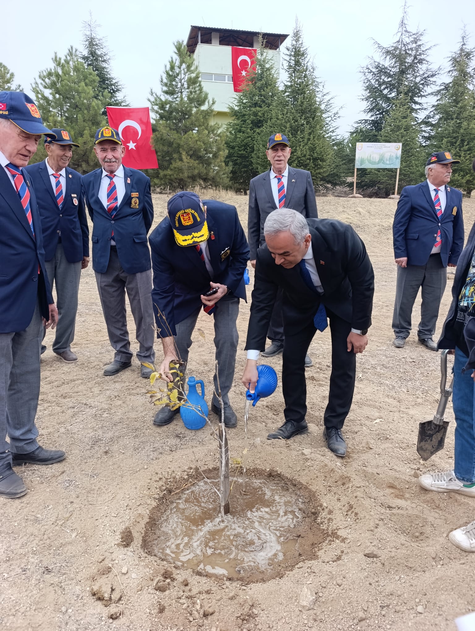 11 Kasım Milli Ağaçlandırma Günü 