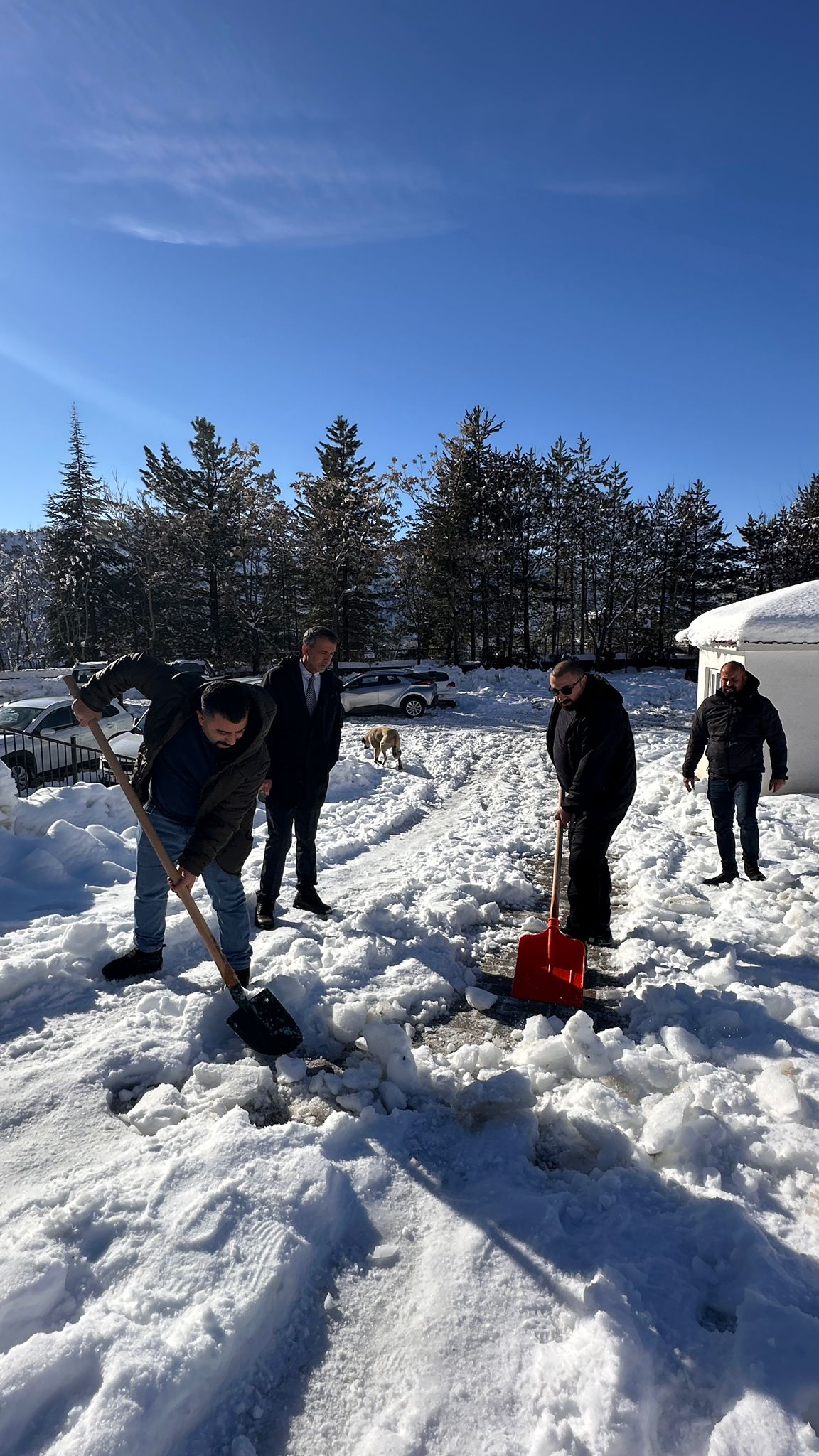 Temizlik ve Kar Küreme Çalışmaları