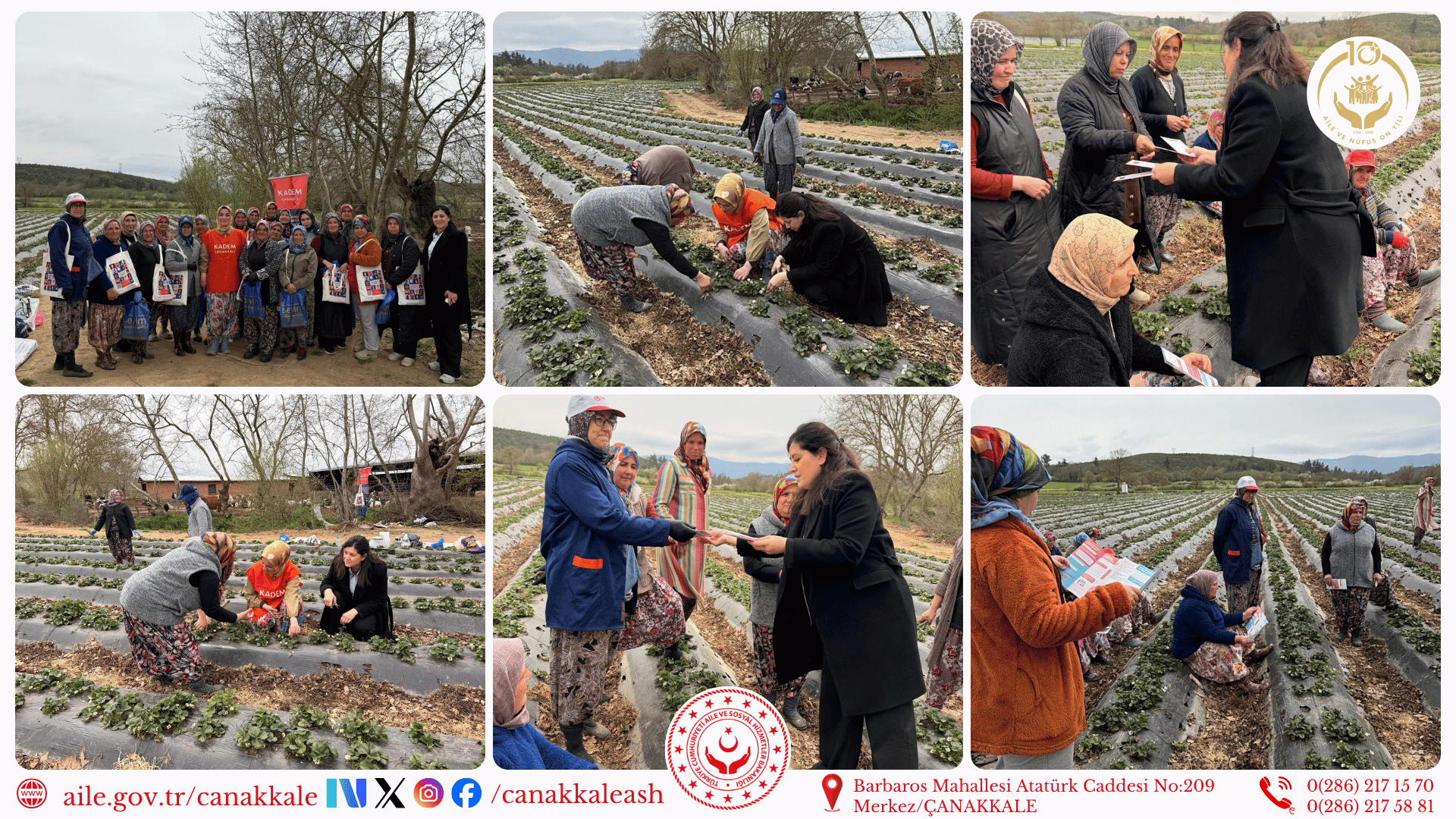 Kadın Çiftçilerle Çilek Hasadında Buluşuldu 🍓