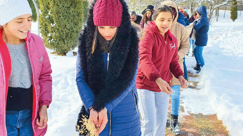 Sivas Çocuk Evlerindeki Çocuklar Hem Kuşlara Yem Bıraktı, Hem de Sokak Kedileri İçin Kulübe Yaptı