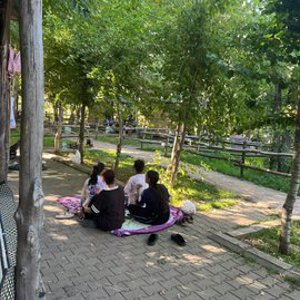 Doğayla iç içe, neşe dolu bir gün - fotoğraf 1