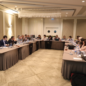 Family-Based National Early Intervention Program Development Workshop held in Ankara - fotoğraf 3