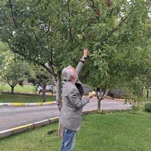 Dalından Bir Elma, Gönülden Bir Hatıra - fotoğraf 1