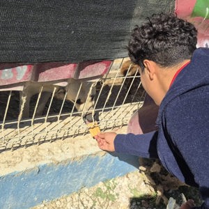 Yozgat Çocuk Evleri Sitemizdeki Çocuklarımızla "Renkli Patiler" Etkinliği  - fotoğraf 7
