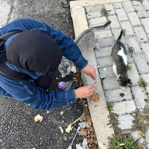  Merhamet Minik Kalplerde Büyüyor! - fotoğraf 2