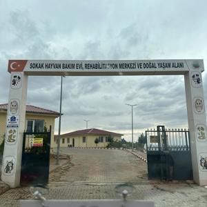 Hayvan Sevgisi Ve Koruma Bilinci - fotoğraf 2