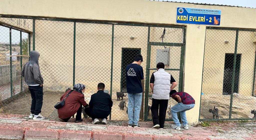 Hayvan Sevgisi Ve Koruma Bilinci