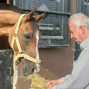 🐎 Kıymetli Büyüklerimizden At Çiftliğine Keyifli Ziyaret - fotoğraf 2