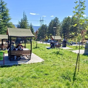 Tosya Huzurevimizde ‘Yaz Pikniği - fotoğraf 1