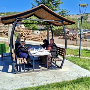 Tosya Huzurevimizde ‘Yaz Pikniği - fotoğraf 2