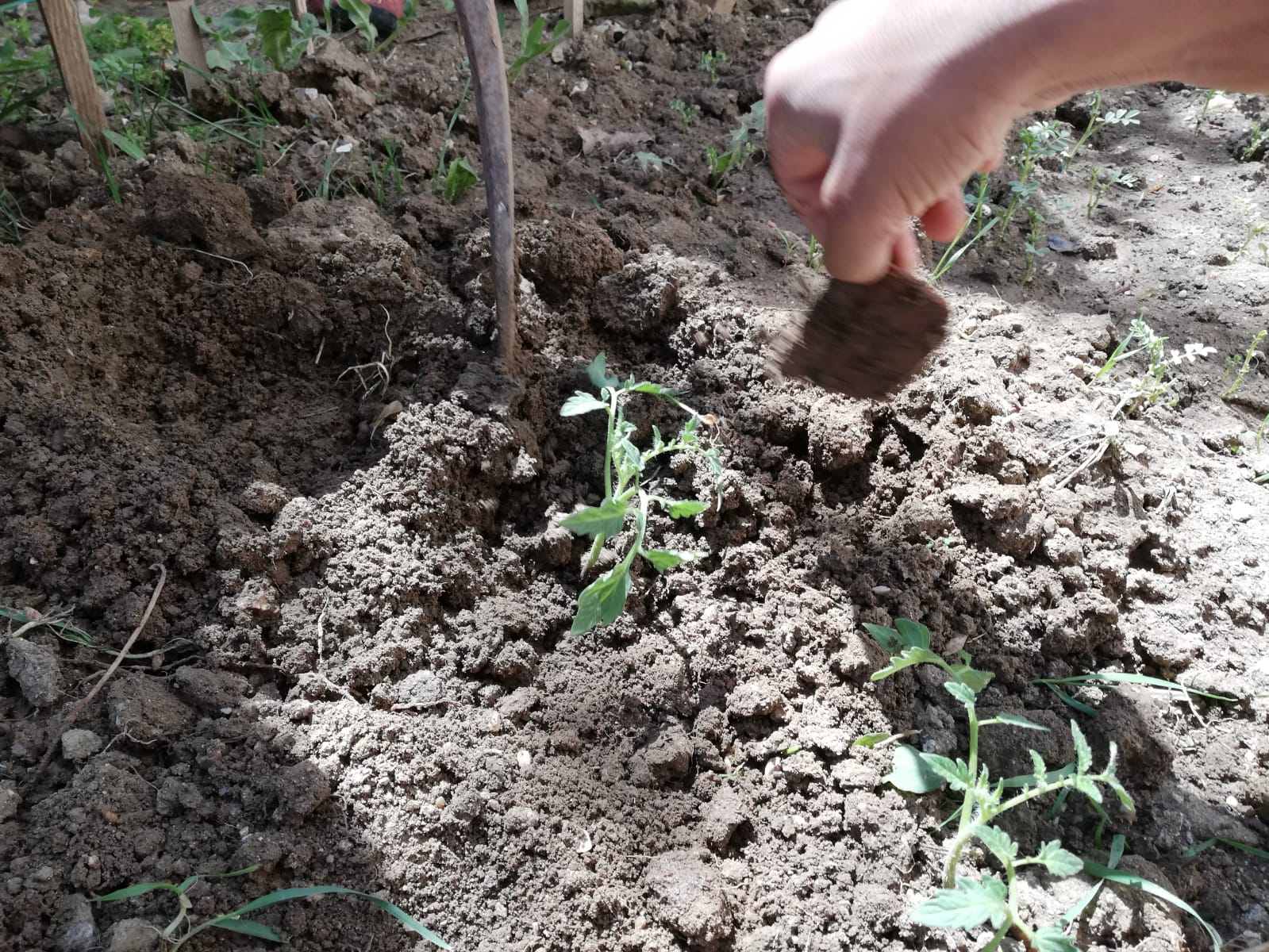 Çocuklarımızdan Fidelere Can Suyu