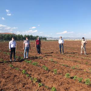 İl Müdürümüz Sayın Fehmi ÇELİK, Adıyaman Çocuk Evleri Sitemize Ziyarette Bulunarak Personeller ve Bakım Altında Bulunan Çocuklarımızla Pandemi Sürecini Değerlendirdi - fotoğraf 8