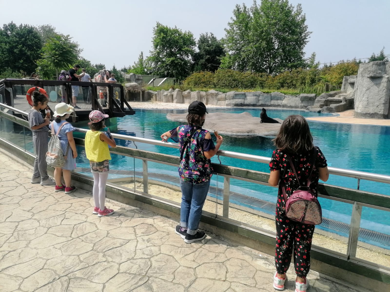 Hayvanat Bahçesine Gezi Gerçekleştirildi