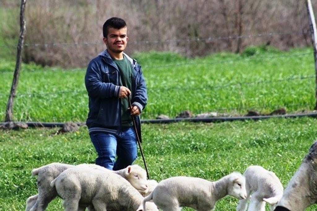  Bakan Selçuk: “Kendi İşini Kurmak İsteyen Engellilerimiz İçin Hibe Desteği Başvuruları Başladı”