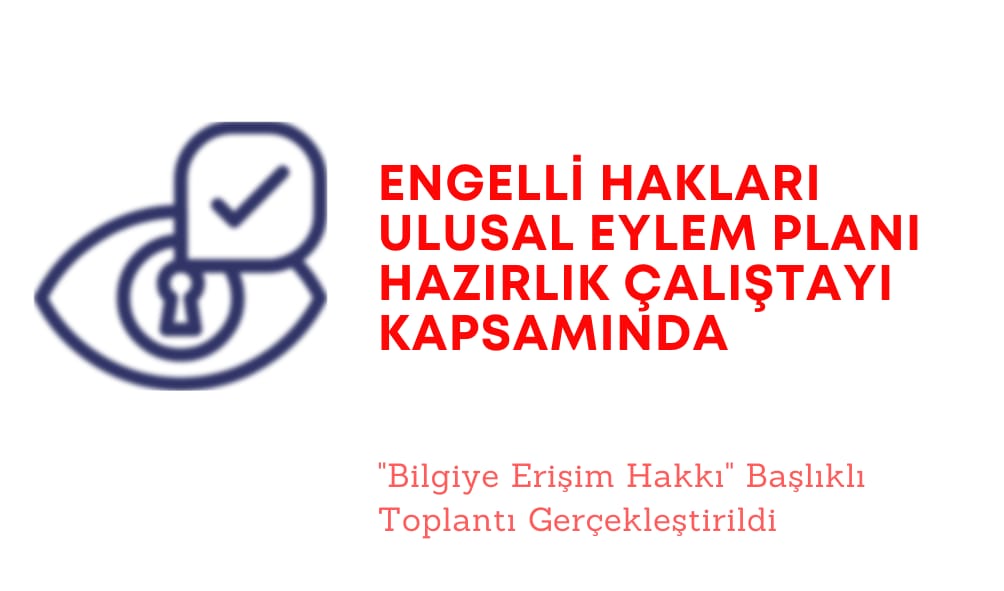 Engelli Hakları Ulusal Eylem Planı Hazırlık Çalıştayları Kapsamında “Bilgiye Erişim Hakkı” Başlıklı Toplantı Gerçekleştirildi