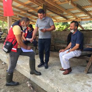 Giresun’un Tirebolu ve Dereli İlçelerinde Psikososyal Müdahale Çalışmaları Başladı - fotoğraf 5