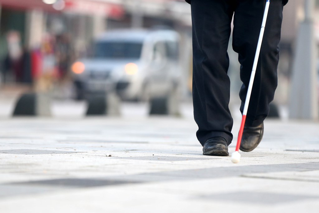 "Accessibility Guide" for Architectural Designs