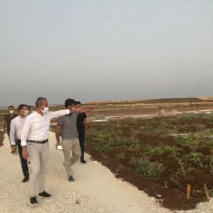 İl Müdürlüğümüz tarafından yürütülen Toprak, Su ve Çocuk Projesi hız kazandı. - fotoğraf 1