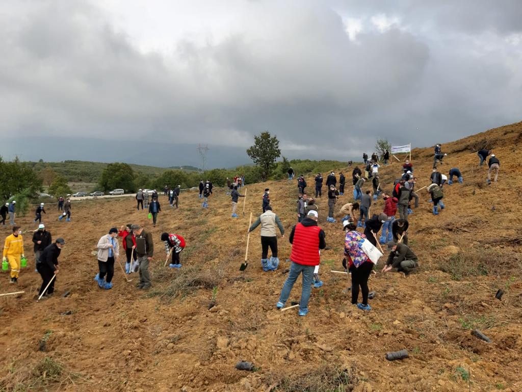 Gemlik İlçemizde Milli Ağaçlandırma Günü Etkinliği 