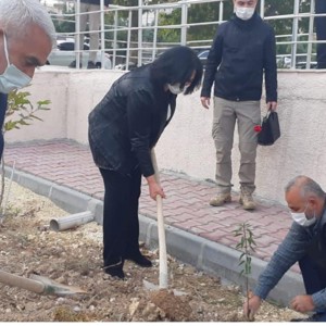 Kadına Yönelik Şiddete Karşı Uluslararası Mücadele Günü Kapsamında Ağaç Dikme Etkinliği Gerçekleştirildi - fotoğraf 4