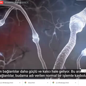 Aile, Çalışma ve Sosyal Hizmetler Bakanlığı “Erken Çocukluk Döneminde Erken Müdahale” Konusunu Ele Aldı - fotoğraf 5