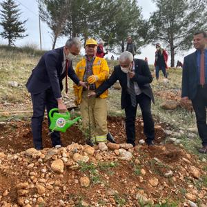 Mercan Hatıra Ormanı Oluşturuldu - fotoğraf 1