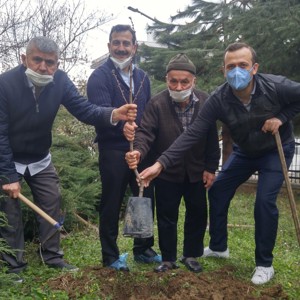 Yaşlılar Haftası nedeniyle fidan dikimi gerçekleştirildi  - fotoğraf 1