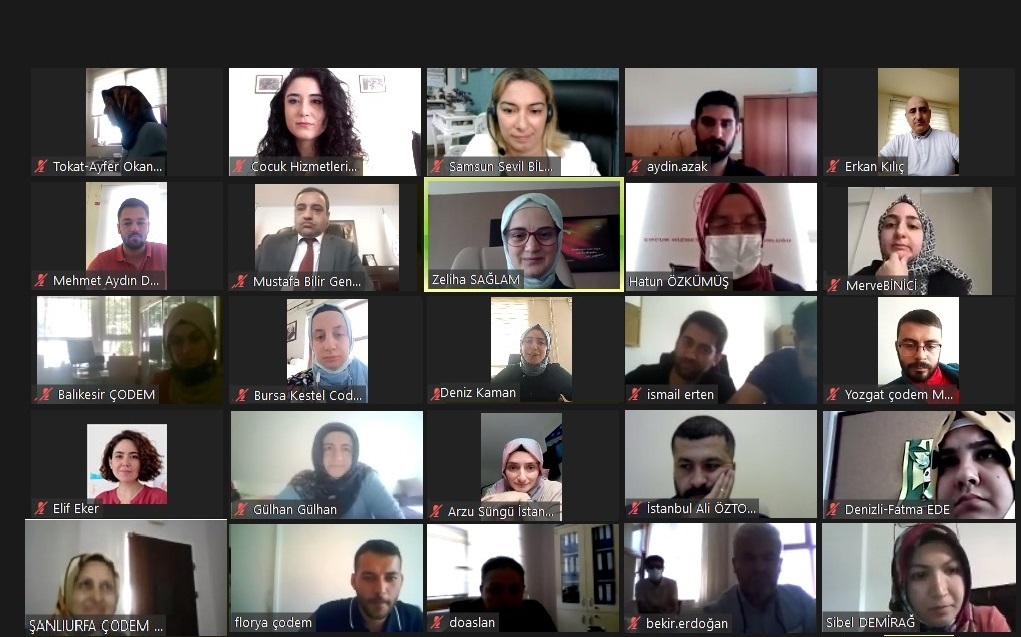 Rehabilitasyon Hizmetlerindeki Meslek Çalışanlarına Özel Eğitim