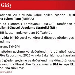 Ulusal Yaşlanma Ülke Raporu Paydaş Toplantısı Bu Sene Dijital Ortamda Gerçekleşti - fotoğraf 3