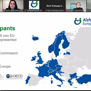 The European Group of Governmental Experts on Dementia Meeting was Held - fotoğraf 1
