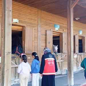 Dünya Hayvanları Koruma Günü’nde Çocuklarımızdan Atlı Spor Bakım ve Rehabilitasyon Merkezine Ziyaret - fotoğraf 1