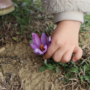 İyilik Var ile İmece Kültürü Yaşatılıyor - fotoğraf 10