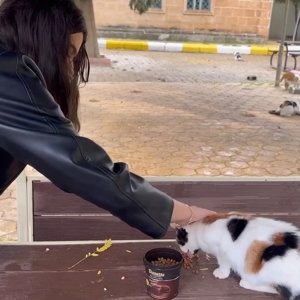 ilik Var Platformu ile Sokak Hayvanlarına Mama Desteği - fotoğraf 2