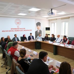 Kadının Güçlenmesi İl Eylem Planı İl Koordinasyon Toplantısı - fotoğraf 2